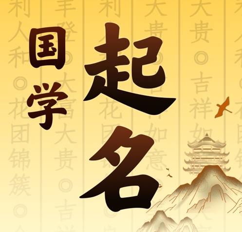 沙坪坝国学起名 人工起名一对一